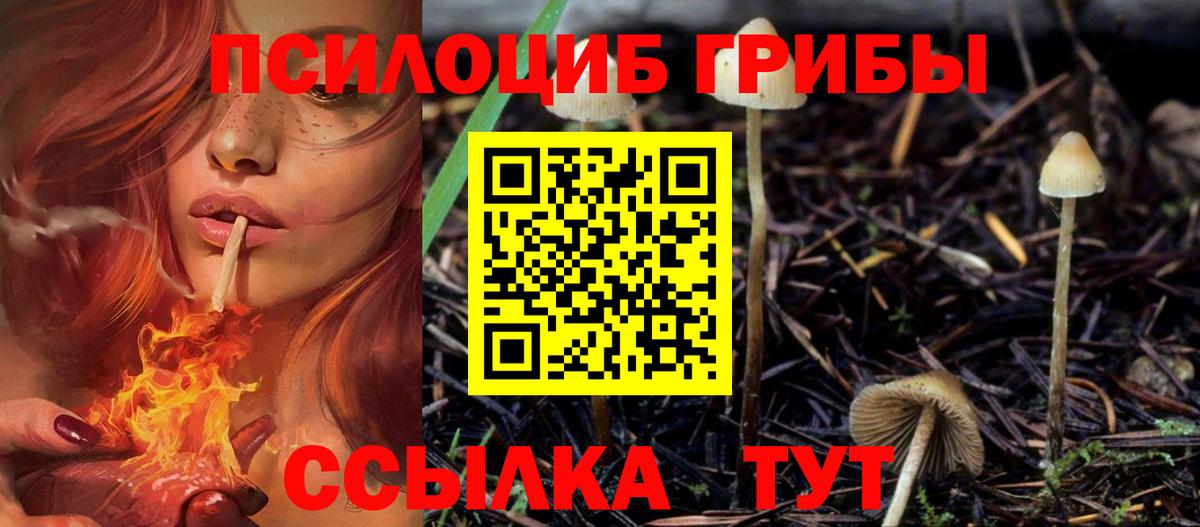Псилоцибиновые грибы Psilocybe  Галлюциногенные грибы мухоморы  Изобильный  Вход с VPN 
